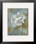 Peony Tile Ii by Silvia Vassileva Limited Edition Pricing Art Print