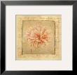 Love Letters Iii by Linda Maron Limited Edition Pricing Art Print