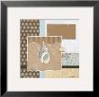 Shell Collage Ii by Carol Robinson Limited Edition Print