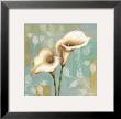Lily Dream I by Daphne Brissonnet Limited Edition Print