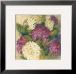 Hydrangea Delight I by Carol Rowan Limited Edition Pricing Art Print