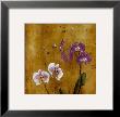 Orchid Bloom I by Georgie Limited Edition Pricing Art Print
