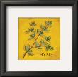 Thyme by Kate Mcrostie Limited Edition Pricing Art Print
