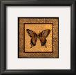 Crackled Butterfly Iii by Wendy Russell Limited Edition Print