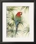 Green Winged Macaw I by Jean Cassady Limited Edition Pricing Art Print