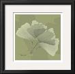 Color Me Ginko Green I by Albert Koetsier Limited Edition Pricing Art Print