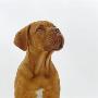 Dogue De Bordeaux Dog Puppy, 15 Weeks Old, Sitting And Looking Up by Jane Burton Limited Edition Pricing Art Print