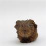 Newborn Red Guinea Pig, Still Wet From Birth by Jane Burton Limited Edition Print