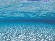 Sandy Seabed Underwater View, Indo-Pacific by Jurgen Freund Limited Edition Pricing Art Print