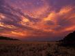 Cloudy Sunrise, Kaokoland, Namibia by Tony Heald Limited Edition Print