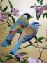 Silver-Eared Mesias (Leiothrix Argentauris), From Asia by Reinhard Limited Edition Print