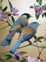 Silver-Eared Mesias (Leiothrix Argentauris), From Asia by Reinhard Limited Edition Pricing Art Print