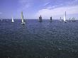 Sailboats In Ocean, Ticonderoga Race by Michael Brown Limited Edition Pricing Art Print