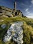 Widgery's Cross On Brat Tor, Dartmoor Np, Devon, Uk by Ross Hoddinott Limited Edition Print