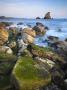 Rocky Ledges And Mupe Rocks Sea Stacks, Jurassic Coast World Heritage Site, Dorset, England by Adam Burton Limited Edition Print