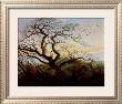 Tree With Crows by Caspar David Friedrich Limited Edition Print