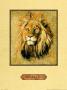 Lion by Nancy Azneer Limited Edition Print