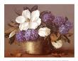Magnolias And Hydrangeas by Joe Anna Arnett Limited Edition Pricing Art Print