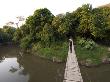 Tourist On Suspension Bridge Over Gumeti River, Grumeti by Adrian Bailey Limited Edition Print