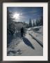 A Hiker Walks Beside Snow Covered Trees by Christof Stache Limited Edition Pricing Art Print