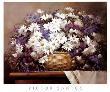 Daisies And Delphiniums by Victor Santos Limited Edition Print