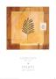 Summer Leaves Iii by Niro Vasali Limited Edition Print