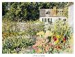 Late Summer Garden by David Coolidge Limited Edition Print