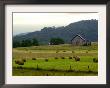 Landscapes Along The Farm Heritage Road by Jon C. Hancock Limited Edition Print