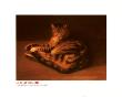 Le Chat Couche by Theophile Alexandre Steinlen Limited Edition Print