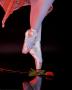 Ballet Feet And Rose by Bruce Curtis Limited Edition Print