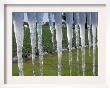 Icicles Hang From Sign At Fancy Farms, A Strawberry Farm In Plant City, Florida, December 31, 2000 by Dale E. Wilson Limited Edition Print