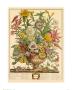 September by Robert Furber Limited Edition Print