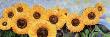 Sunflowers by Alexandra Terramorsi Limited Edition Print