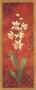 Cymbidium by Pamela Gladding Limited Edition Pricing Art Print