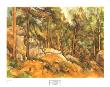 Rocks In The Park Of Chateau Noir, 1900 by Paul Cezanne Limited Edition Print