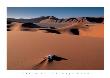 Oryx Bone, Namib Desert, Namibia by David Noton Limited Edition Pricing Art Print