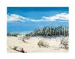 Beach With A View I by Rick Mundy Limited Edition Print