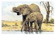 Elephants By The Waterhole by Charles L. Berry Limited Edition Print