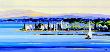Petit Port Vers Le Cap Corse by Kerfily Limited Edition Print