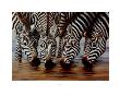 Stripes by H. Van Zanten Limited Edition Print