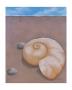 Sand, Shell And Sky L by Phyl Schock Limited Edition Pricing Art Print