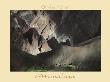 Himalaya by Olivier Follmi Limited Edition Pricing Art Print