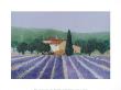 Lavender Field Near St Tropez by Hazel Barker Limited Edition Print