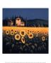 Golden Warmth Ii by David Short Limited Edition Print