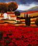 Poppy Field Ii by J. Clarke Limited Edition Pricing Art Print