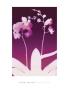 Dark Plum Orchid by Nina Farrell Limited Edition Pricing Art Print