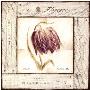 Fritillaria Exhibition by Lauren Hamilton Limited Edition Pricing Art Print