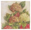 Hortensia I by Vincent Jeannerot Limited Edition Print