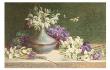 Snowdrops And Violets by M. V. Morgan Limited Edition Print