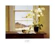 Orchids With Teapots by Zhen-Huan Lu Limited Edition Print